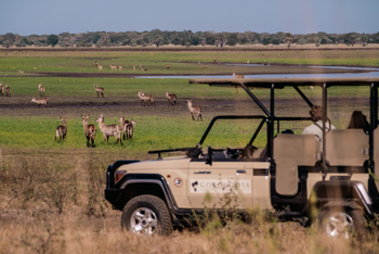 Gorongosa Safaris: Wasserbock