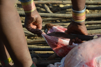 Lale's Camp: Stammeskultur - Hamar