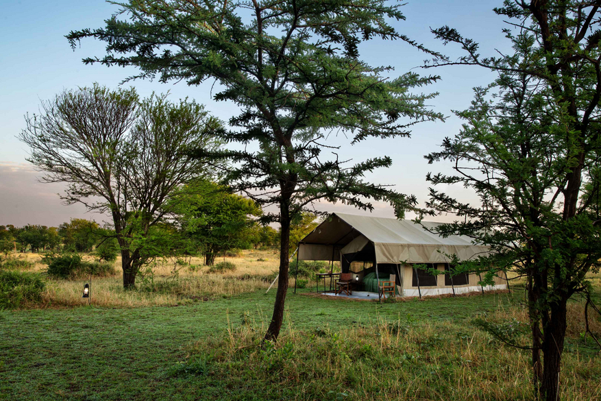 Mara Kati Kati Tented Camp