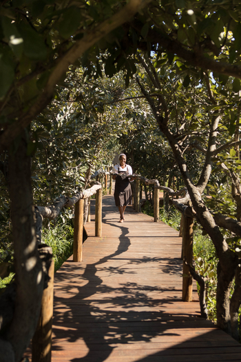 Nokanyana Camp: Steg