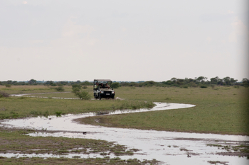 Nxai Pan Camp: Überschwemmte Piste