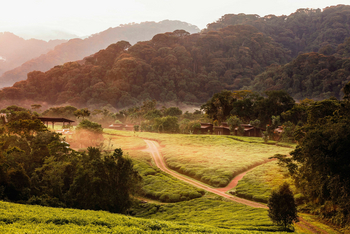 One and Only Nyungwe House: Resort Wege