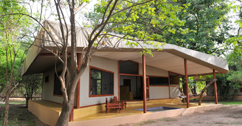 Potato Bush Camp: Safarizelt