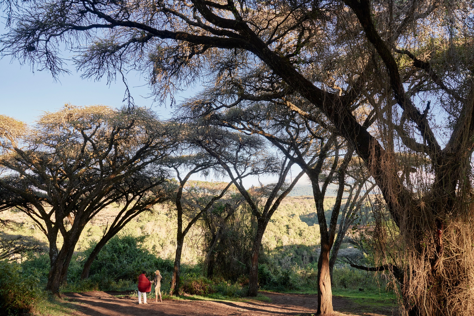 Sanctuary Ngorongoro Crater Camp Sanctuary Ngorongoro Crater Camp: Ausflug in die Natur