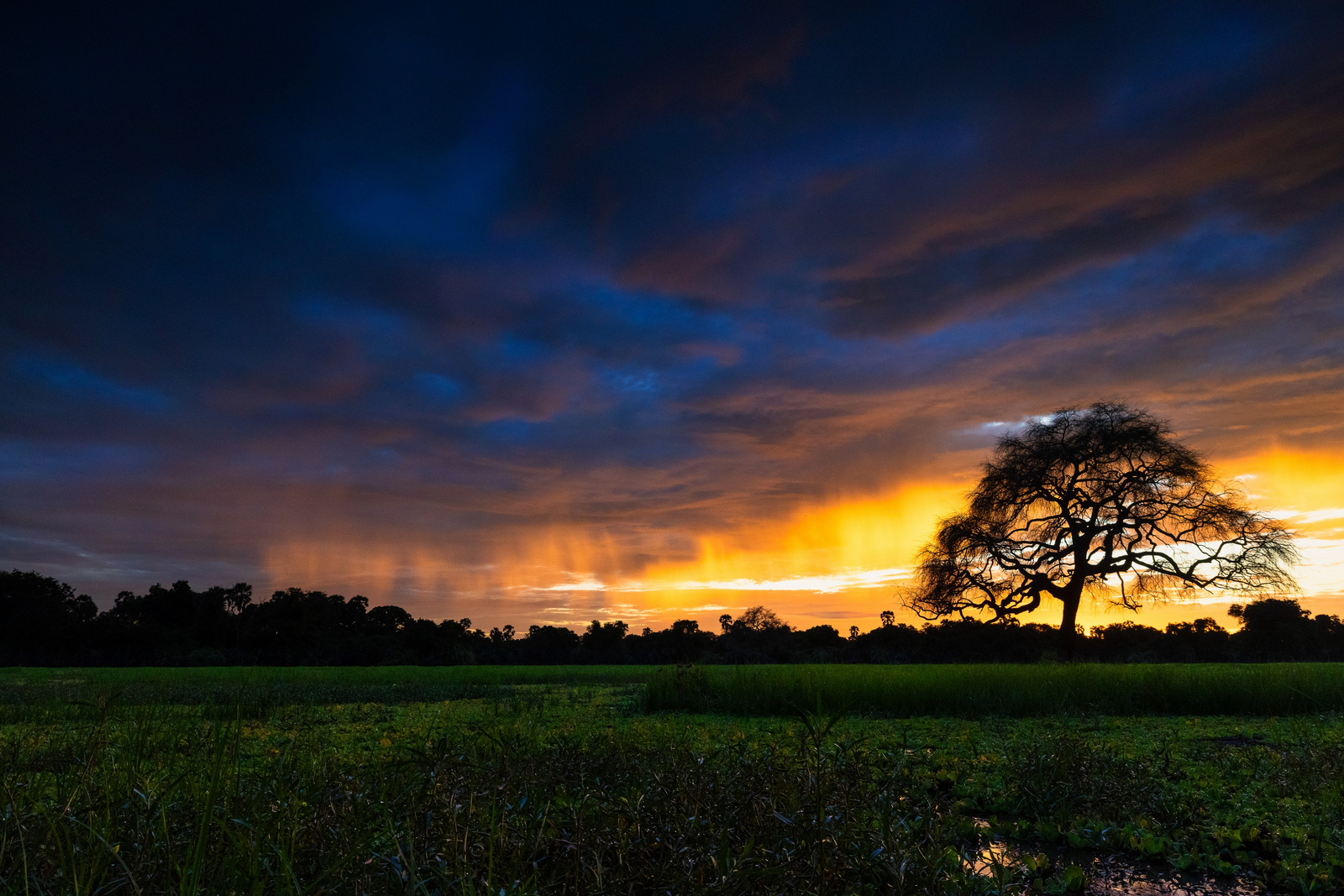 Sungani Lodge Sungani Lodge: Abendlicht