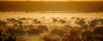 Tanda Tula Safari Camp: Landschaft