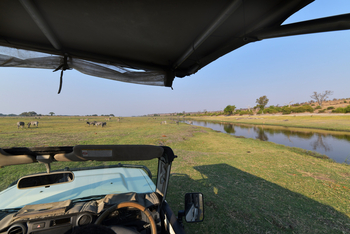 Chobe River Camp: Game Drive