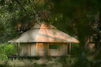 Koro River Camp: Wellnesszelt