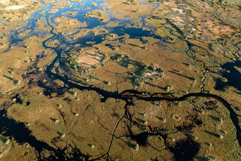 Mapula Lodge: Sumpflandschaft