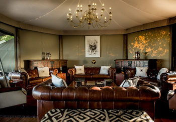 Mara Plains Camp: Ledersofa