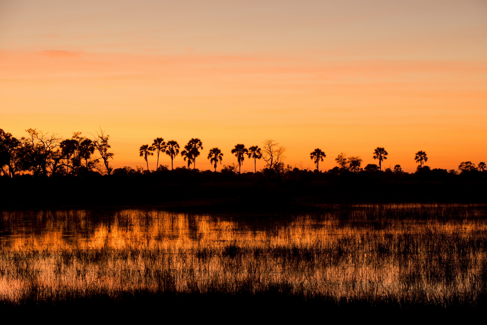 Nxabega Okavango Tented Camp Nxabega Okavango Tented Camp: Sonnenuntergang