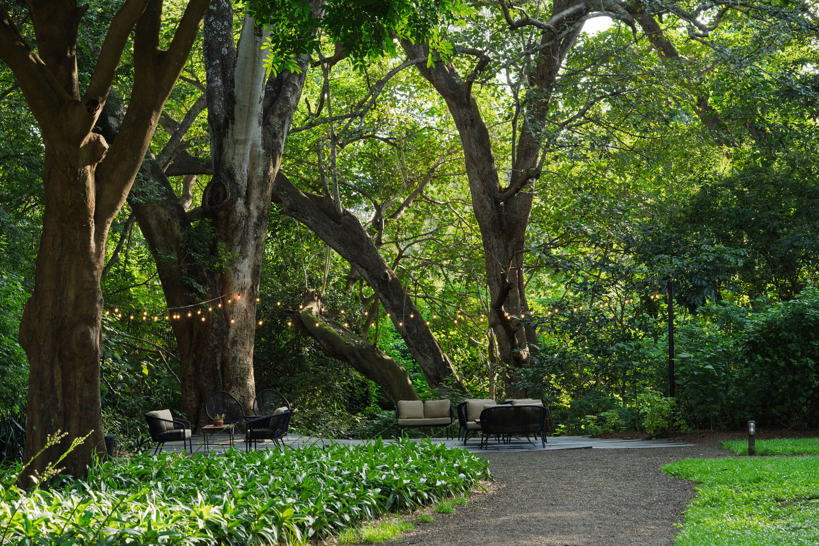 Rivertrees Country Inn Rivertrees Country Inn: River Deck mit Beleuchtung