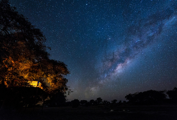 Ruckomechi Camp: Camp Sternenhimmel