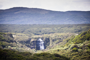 Solio Lodge: Moorlandschaft im Aberdares National Park