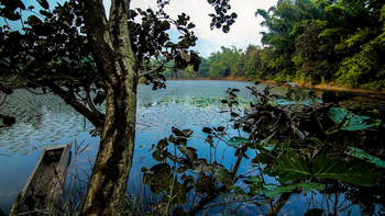 Syna Tiger Resort: Teich mit Einbaumkanu