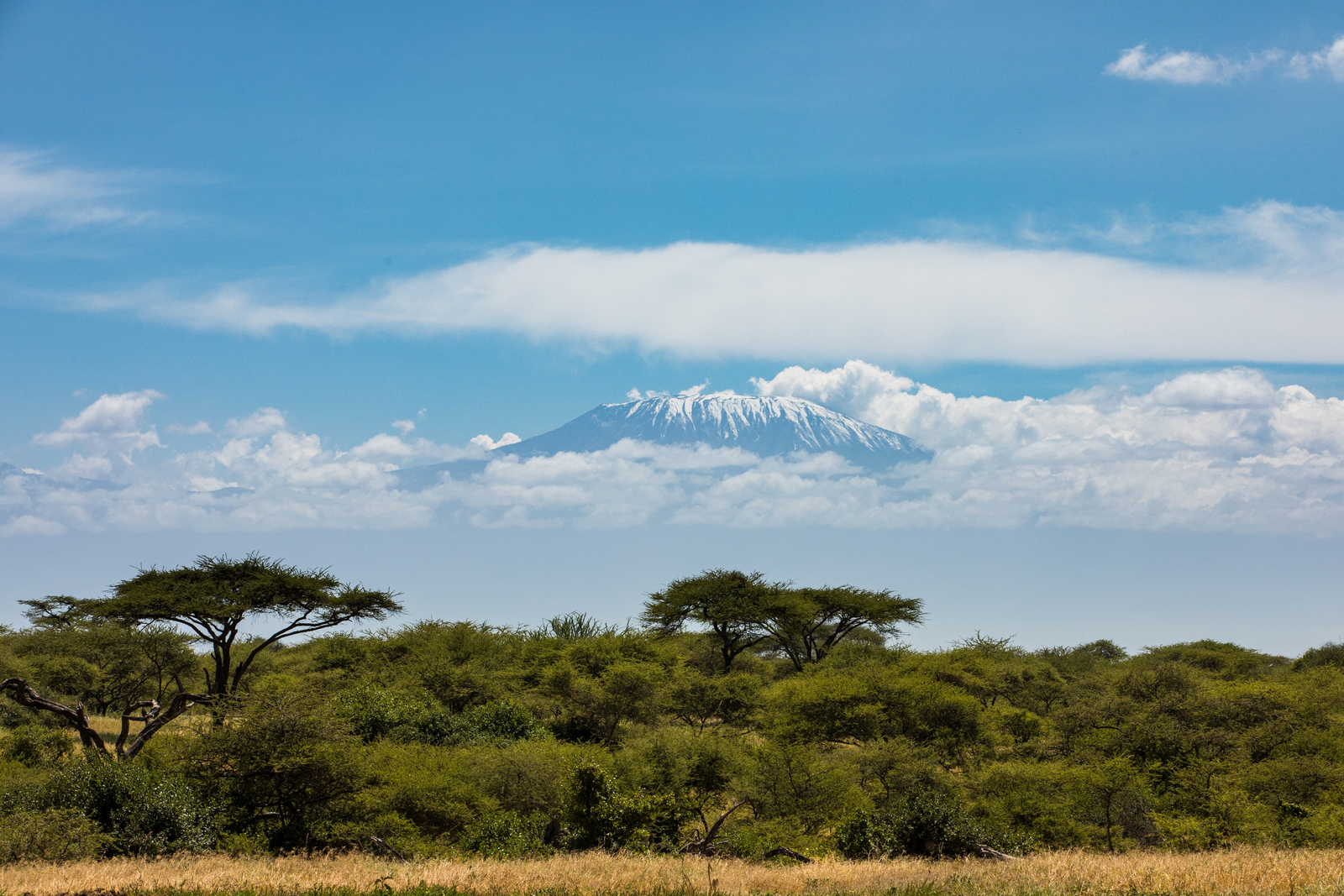 Ol Donyo Lodge Ol Donyo Lodge: Buschlandschaft vor dem Kilimanjaro