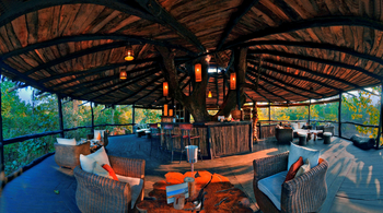 Treehouse Hideaway: Panorama-Bar