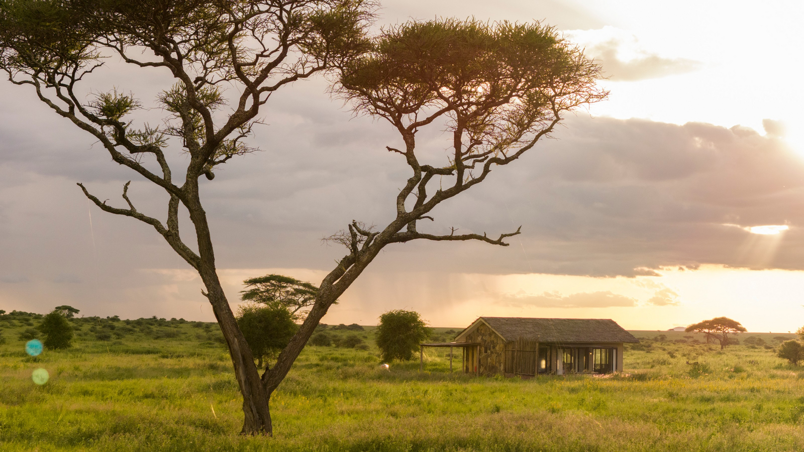 Serengeti Sametu Camp Serengeti Sametu Camp: Twin Suite Exterior