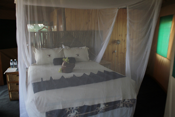 Camp Linyanti Camp Linyanti: Doppelbett
