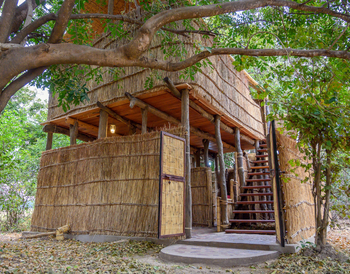 Chikoko Tree Camp: Treehouse - Außenansicht