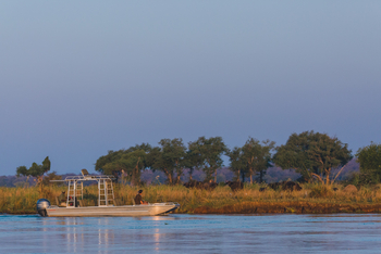 Classic Zambia Safaris Classic Zambia Safaris: Motorbootexkursion