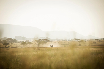 Dunia Camp: Game Drive