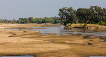 Luambe Camp: Sandbänke im Luangwa