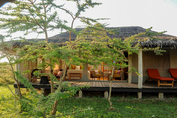 Mara Siana Camp: Dornbusch vor einem Zelt