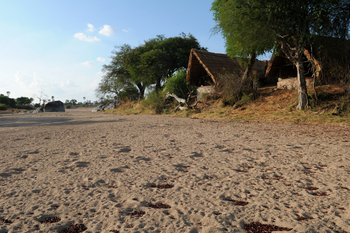Mwagusi Safari Camp: Sandiges Flussbett