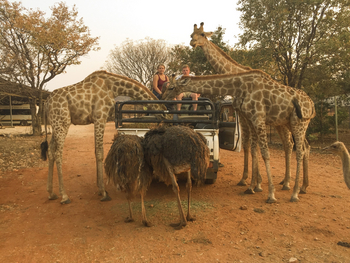 Okutala Lodge: Strauße und Giraffen