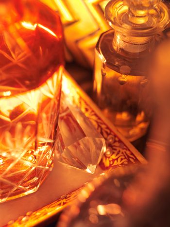 Rambagh Palace: Details