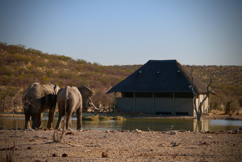Safarihoek Lodge Safarihoek Lodge: Beobachtungsunterstand und Wasserloch