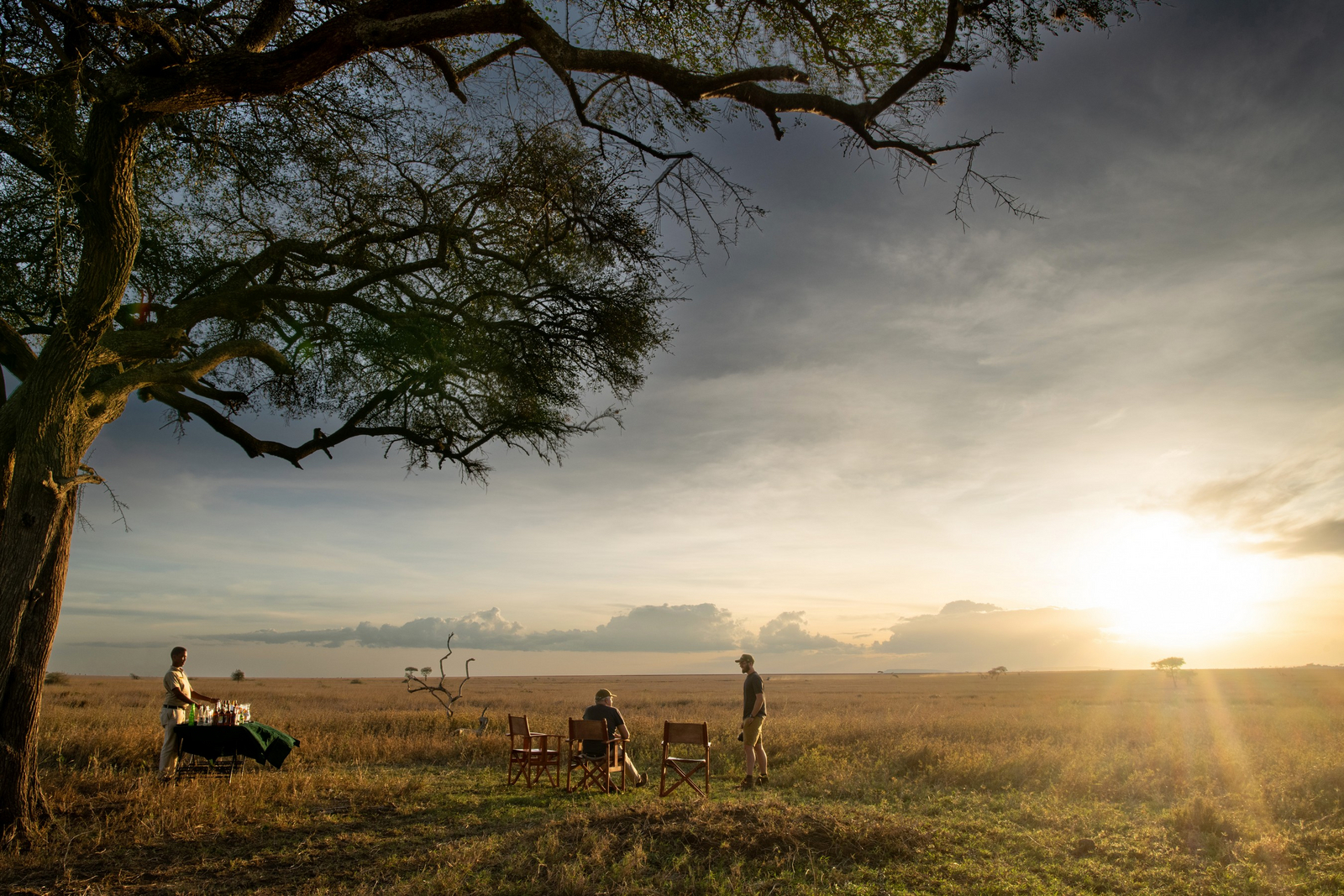 Serengeti Sametu Camp Serengeti Sametu Camp: Sundowner