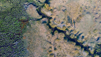 Takwela Camp Takwela Camp: Walking Safari