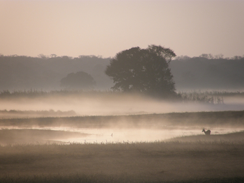 Wasa Lodge: Puku im Dunst