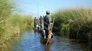 Atzaro Okavango Camp: Mokoro-Tour