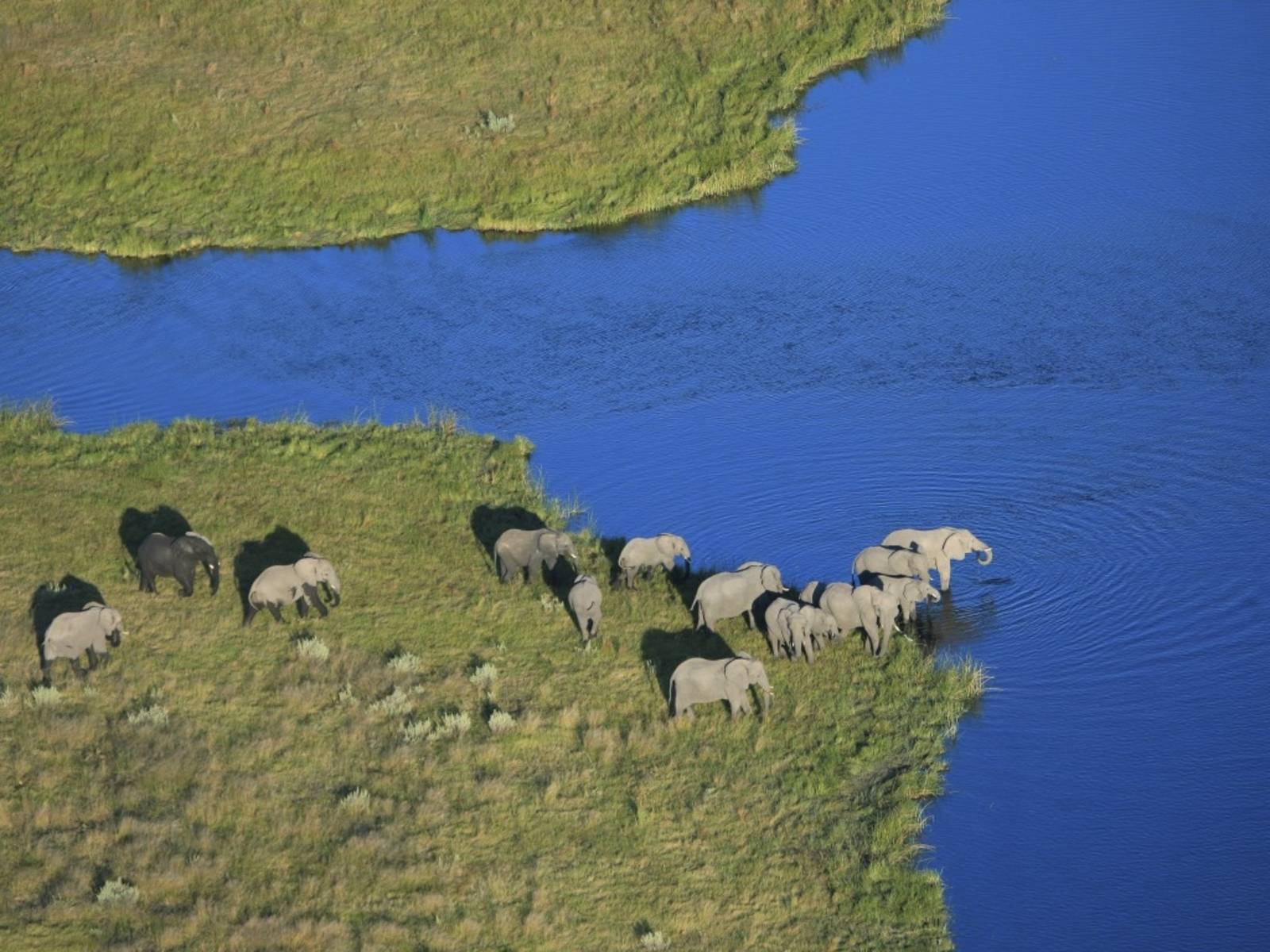 Savuti Camp Savuti Camp