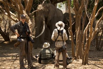 Chitake Mobile Camp Chitake Mobile Camp: Big Tusker