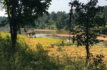 Flame of the Forest Safari Lodge: Oktoberstimmung