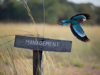 King Lewanika Lodge: Gabelracke