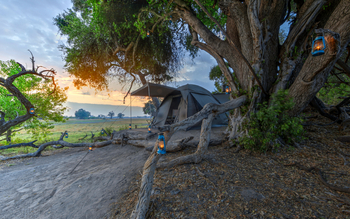 Beagle Expeditions: Domzelt unter Bäumen