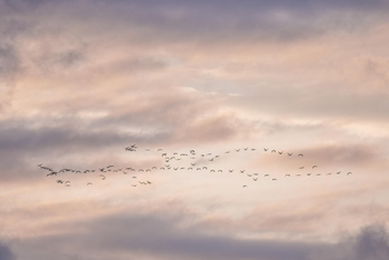 Loldia House: Lake Oloidien