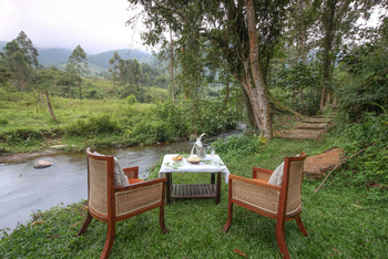 Mahogany Springs Safari Lodge: Lunch am Bach