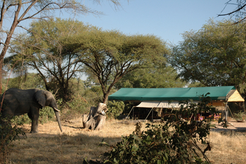 Mdonya Old River Camp: Loungezelt