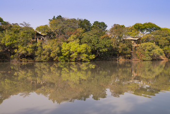 Mukambi Fig Tree Bush Camp: Zwei Gästezelte am Ufer