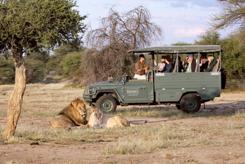Old Traders Lodge: Aktivitäten