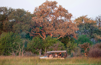 Sable Alley Camp: Game Drive