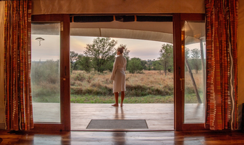 Sayari Camp: Blick aus einem Gästezelt