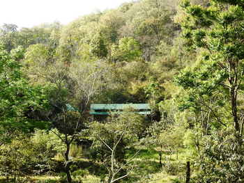 Vanghat: Lage im Wald