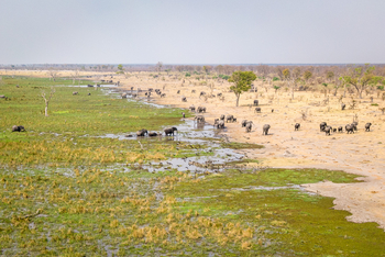 Wilderness Mokete Camp: Am Rand des Mababe-Sumpf
